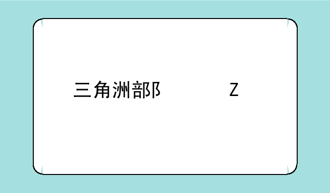 三角洲部队中文版