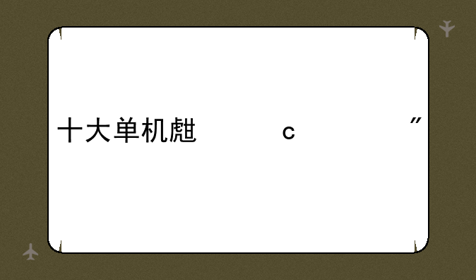 十大单机生存游戏