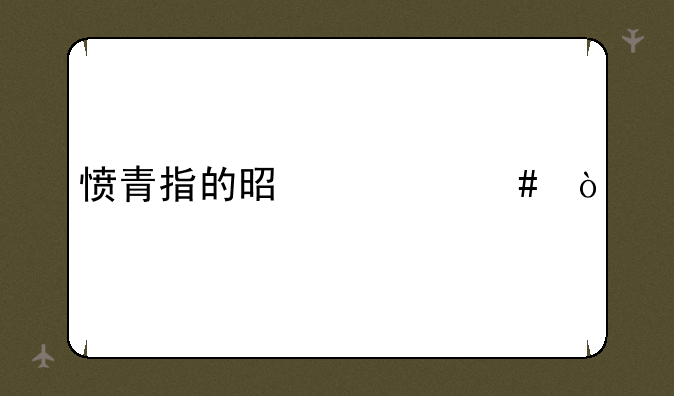愤青指的是什么？