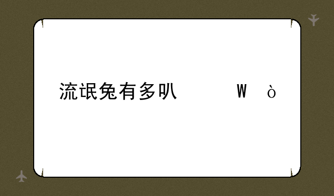 流氓兔有多可怕？