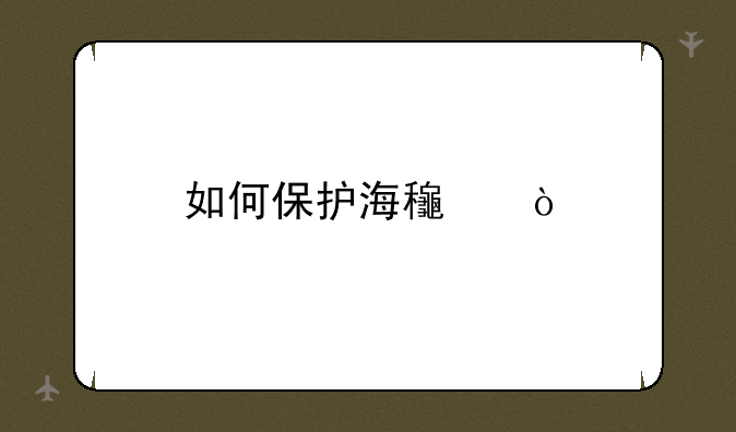 如何保护海龟？