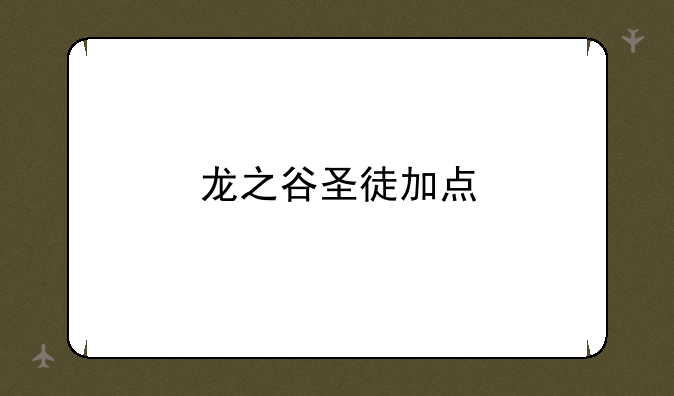 龙之谷圣徒加点