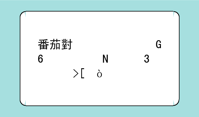 番茄小说vip兑换码哪里领取？