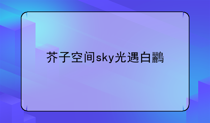 芥子空间sky光遇白鸟全物品版