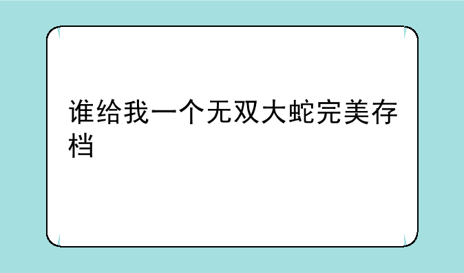 谁给我一个无双大蛇完美存档