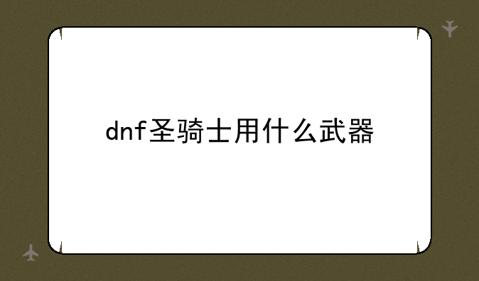 dnf圣骑士用什么武器