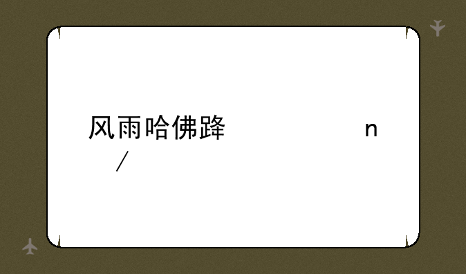 风雨哈佛路迅雷下载
