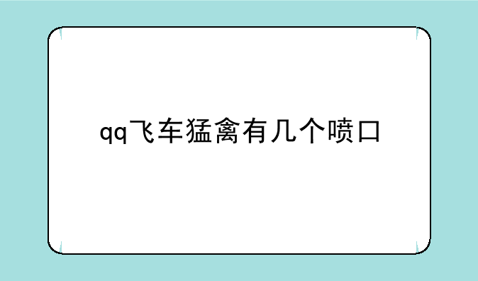 qq飞车猛禽有几个喷口