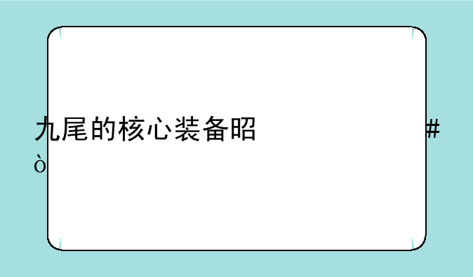 九尾的核心装备是什么？