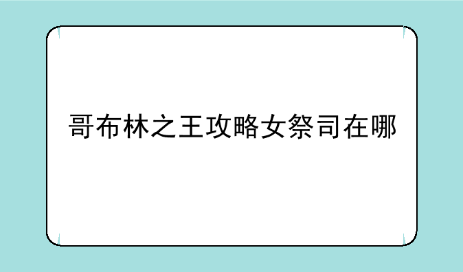 哥布林之王攻略女祭司在哪