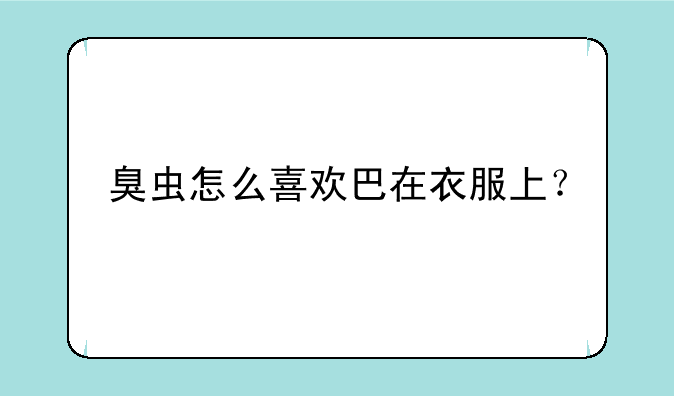 臭虫怎么喜欢巴在衣服上？