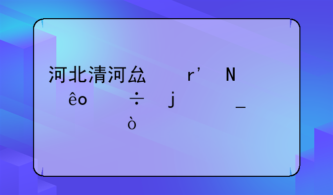 河北清河县有哪些好的洗浴中心？