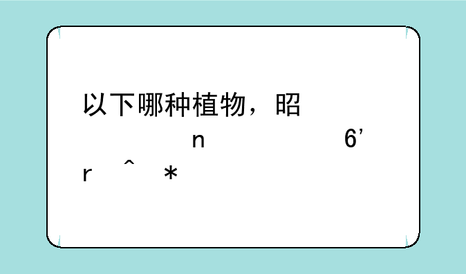 以下哪种植物，是冬季雪封草地时动物的“救命草”？