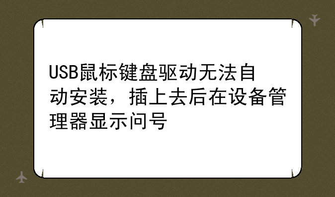 USB鼠标键盘驱动无法自动安装，插上去后在设备管理器显示问号