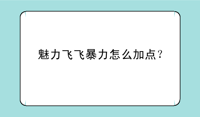 魅力飞飞暴力怎么加点？