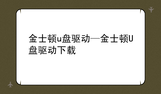 金士顿u盘驱动—金士顿U盘驱动下载